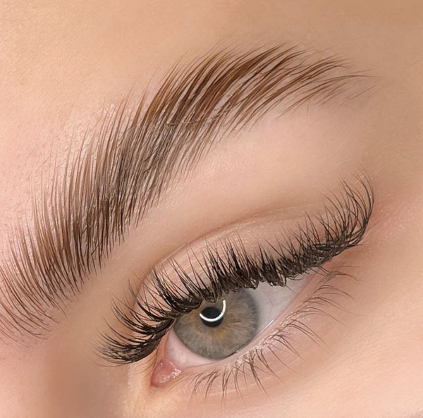 Lash/Brow Tint Trio